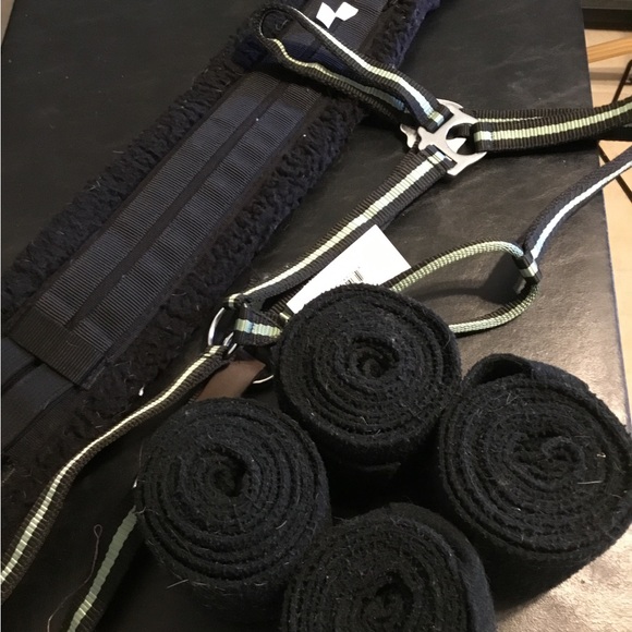 Dressage horse tack bundle - Picture 6 of 6